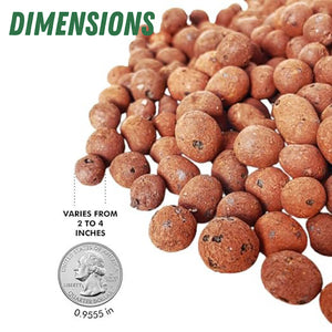 PGN Clay Pebbles for Hydroponic Growing - 10 Liters (4 Pounds)