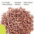 PGN Clay Pebbles for Hydroponic Growing - 10 Liters (4 Pounds)