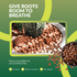 PGN Clay Pebbles for Hydroponic Growing - 5 Liters (2 Pounds)