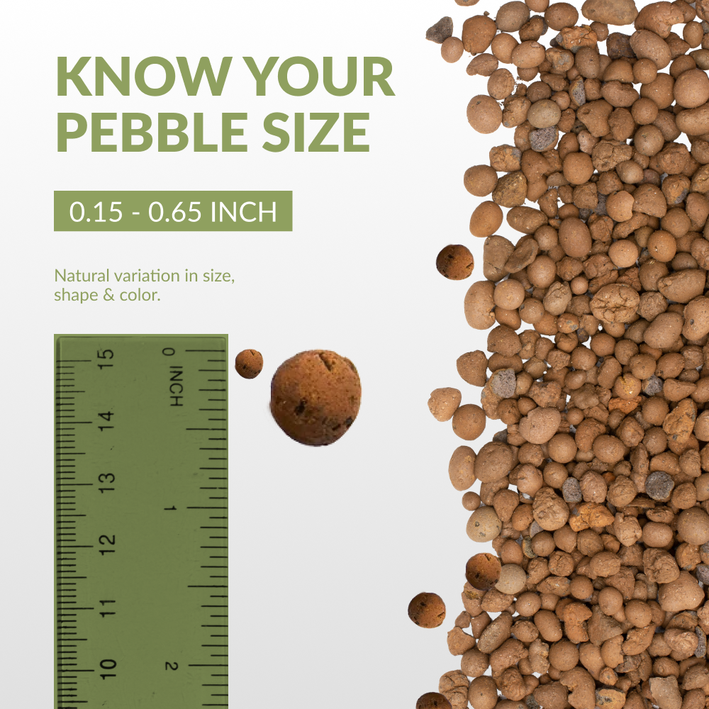 PGN Clay Pebbles for Hydroponic Growing - 5 Liters (2 Pounds)