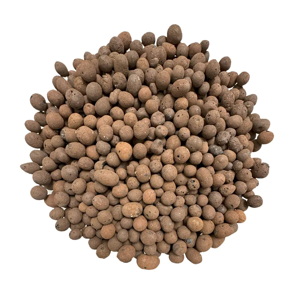 PGN Clay Pebbles for Hydroponic Growing - 10 Liters (4 Pounds)