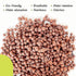 PGN Clay Pebbles for Hydroponic Growing - 5 Liters (2 Pounds)