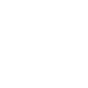 Ícone