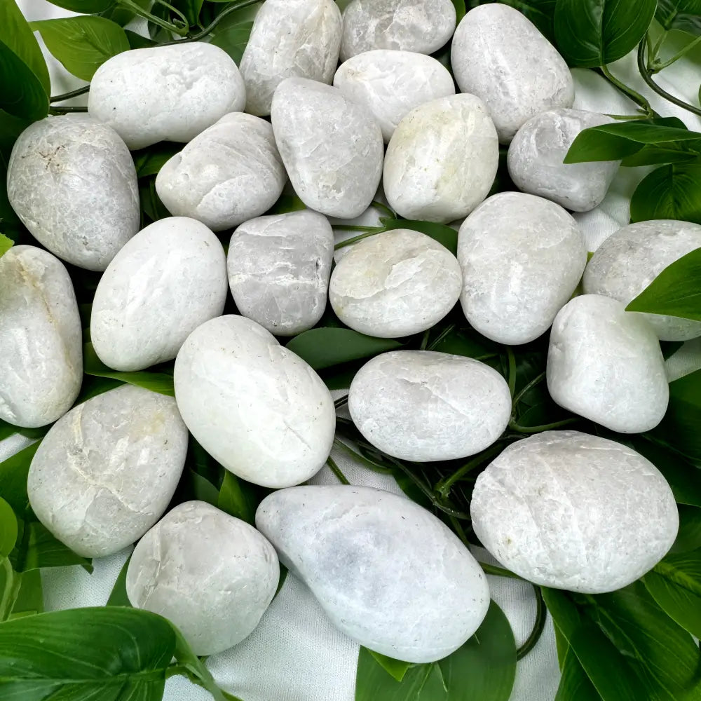 PGN White River Rocks for Plants - 15 Pounds